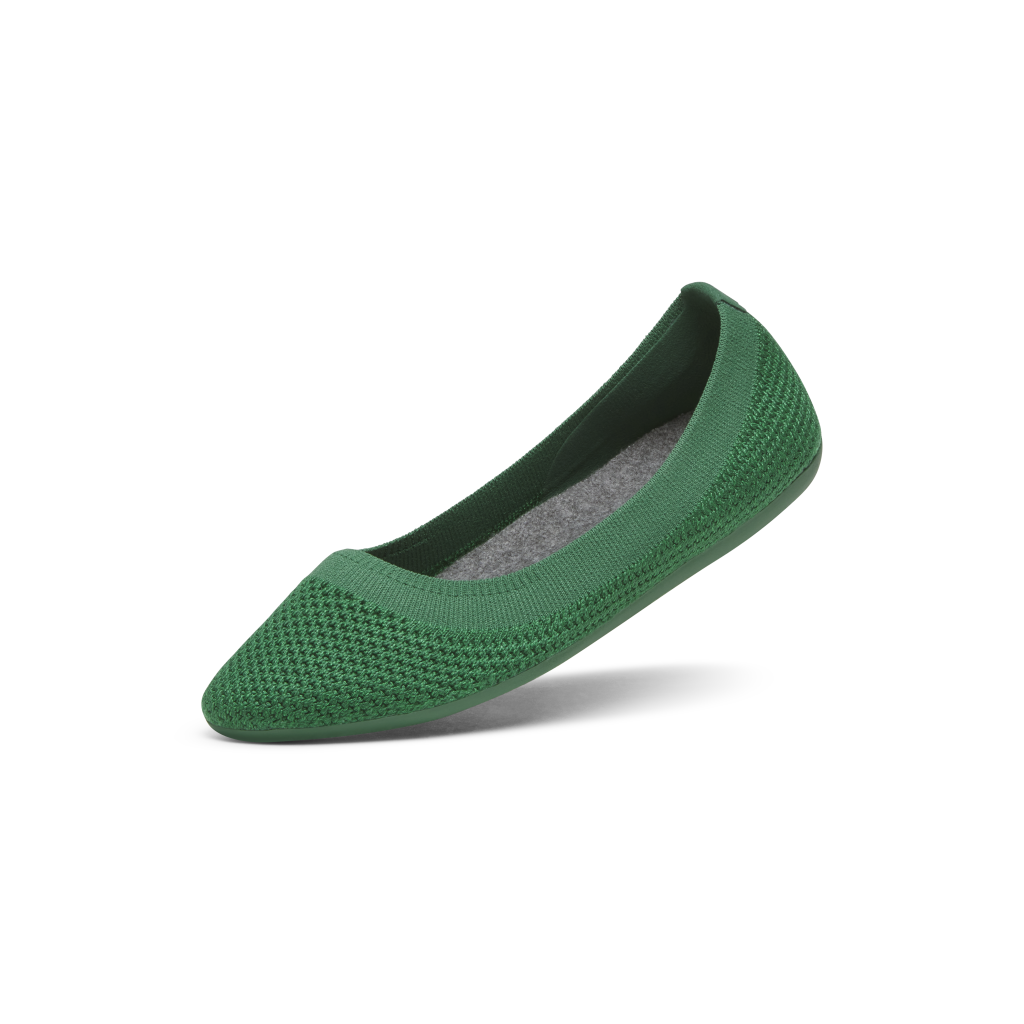 Allbirds W Tree Breezer Ballerinas in GRÜN