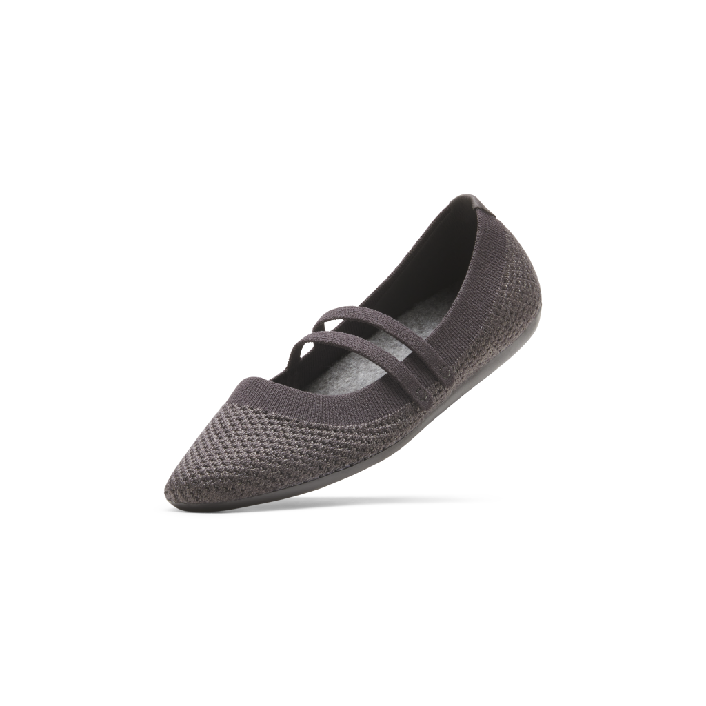 Allbirds W Breezer Mary Jane Ballerinas in GRAU