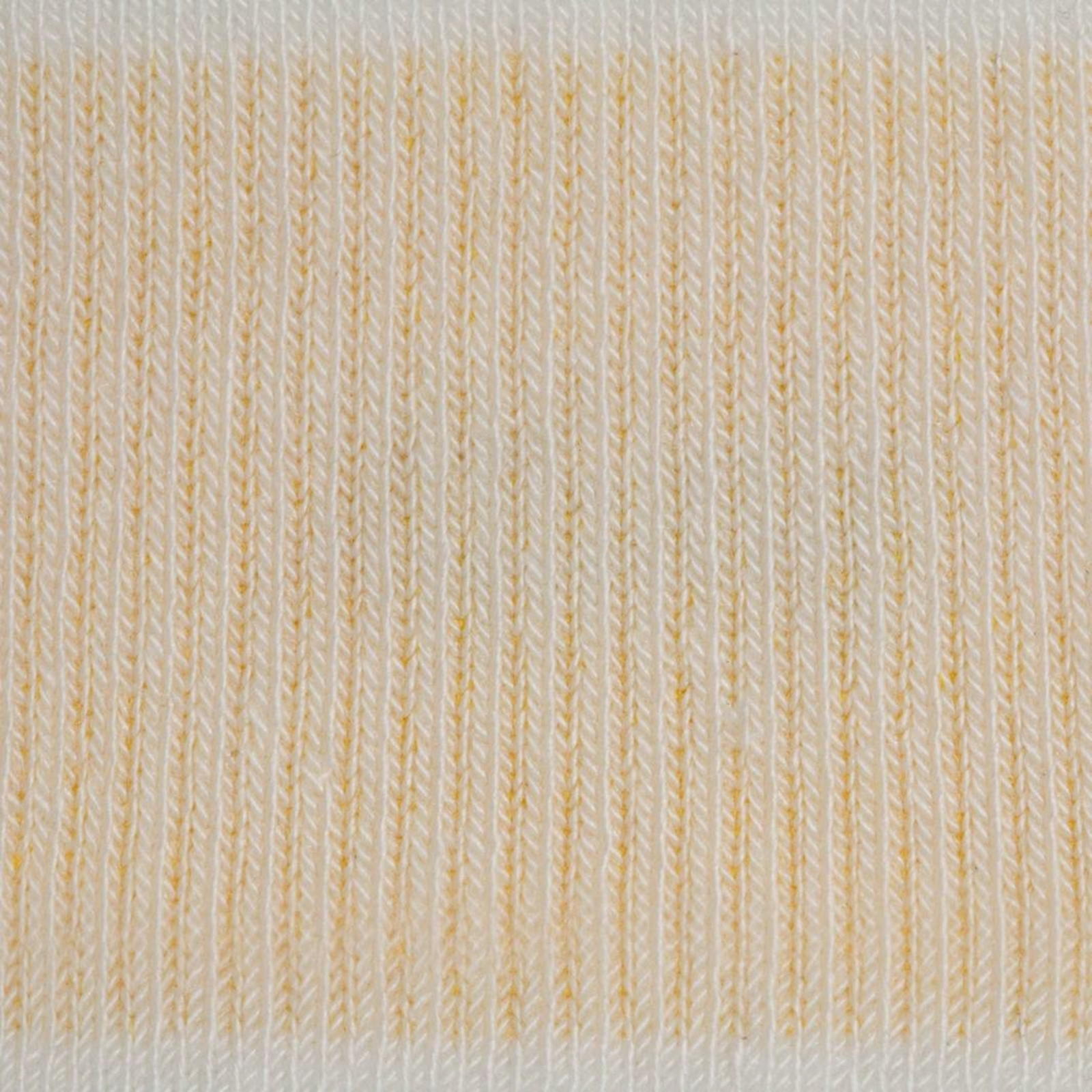 Allbirds Anytime No Show Sock in WEISS
